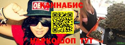 индика Кандалакша