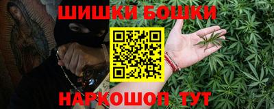 индика Кандалакша
