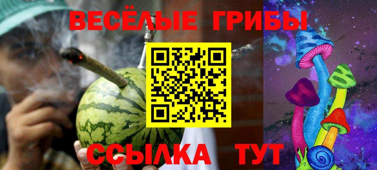 Галлюциногенные грибы мухоморы Шахты